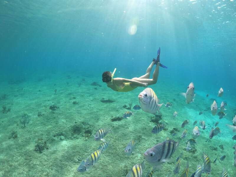 Cozumel: Clear Boat Ride and Snorkeling Trip - Where you start: Av. Rafael E. Melgar 221 and the 20-minute rule