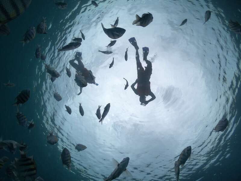 Cozumel: Clear Boat Ride and Snorkeling Trip - Snorkeling stops: coral, marine life, and what to expect about time
