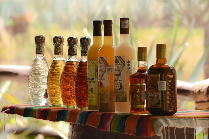 Cozumel Cultural Jeep Tour with Mayan Village and Mexican Lunch - Price and value: what your $101.72 really covers