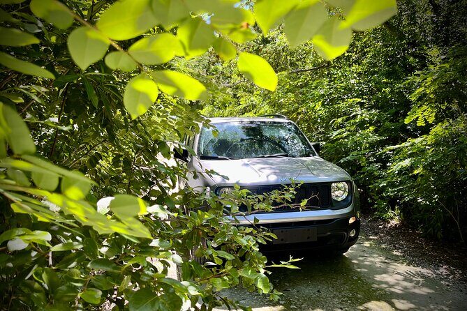 Cozumel: Discover Hidden Gems w/ Private guide - Tierra Maya: what the included sanctuary stop is really for