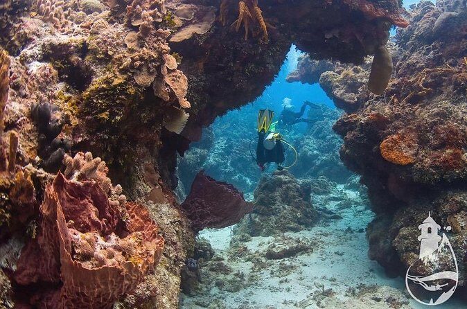 Cozumel: Discover Scuba Diving - Reef Time in Cozumel National Marine Park: Two Areas, Two Chances to See Animals