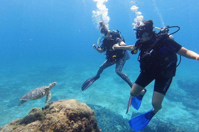 Cozumel: Discover Scuba Diving - Price and Value: Is $232 Fair for a 5-Hour First-Timer Course?