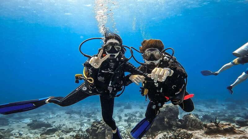 Cozumel: Discover Scuba Diving for Non-Certified Divers - Meeting at Cha Cha Cha and Getting Your 40-Minute Game Plan