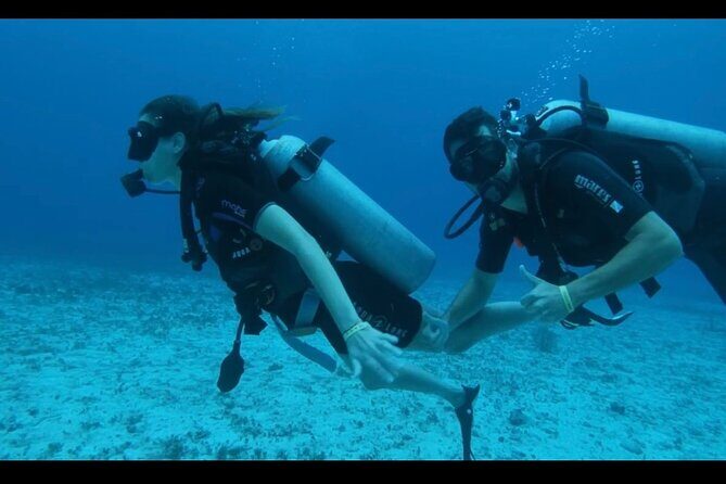 Cozumel: Discover Scuba Diving - Where You Start: Marina FONATUR Cozumel and Your Boat Day Rhythm