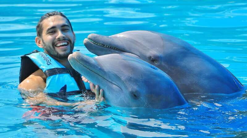 Cozumel: Dolphin Royal Connection and Manatee Interaction - Key things to know before you go