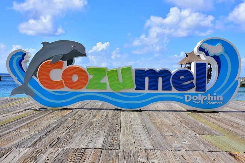 Cozumel: Dolphin Royal Connection and Manatee Interaction - Rules that shape your day: cameras, sunscreen, and what to bring