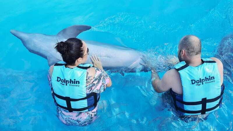 Cozumel: Dolphin Royal Connection and Manatee Interaction - What I’d watch for: timing, expectations, and the dolphin-to-manatee ratio