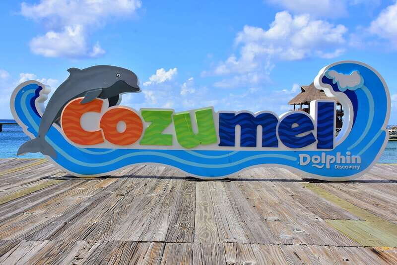 Cozumel: Dolphin Royal Connection and Manatee Interaction - Royal Swim in 40 minutes: what the dolphin session feels like