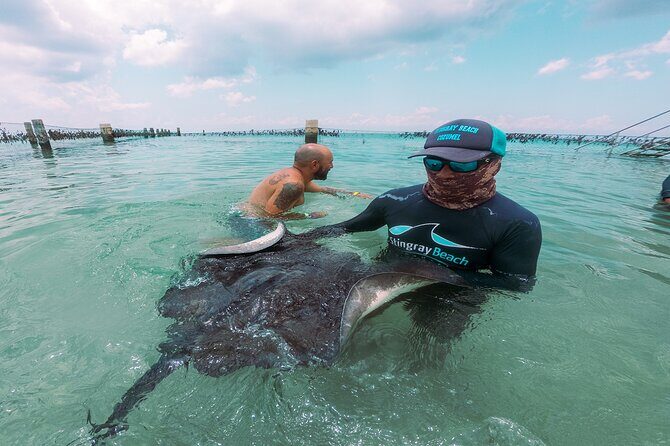 Cozumel Drive, Splash & Beach - Safety rules you cannot skip (and why that’s good)