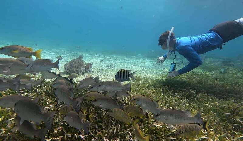 Cozumel, El Cielo: 4-Hour Private Tour - Price and logistics: is $641 for up to 6 a fair deal?