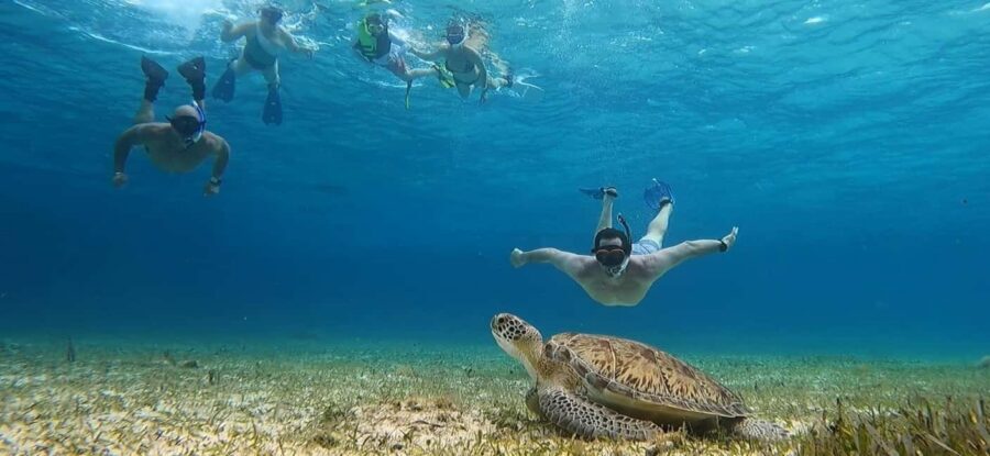 Cozumel, El Cielo: 4-Hour Shared Snorkeling Tour - Where You Start: El Mayor Dock Setup and a Smooth Arrival