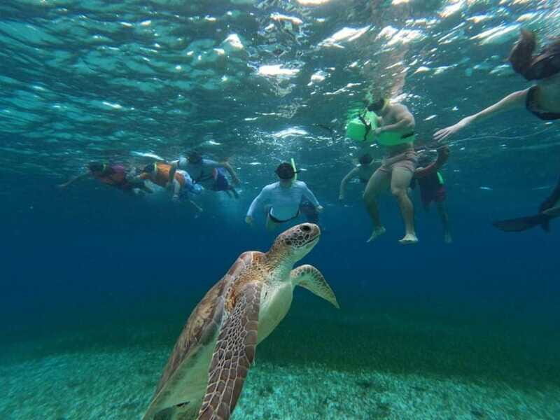 Cozumel, El Cielo: 4-Hour Shared Snorkeling Tour - Timing and Group Pacing: The Benefit and the Tradeoff