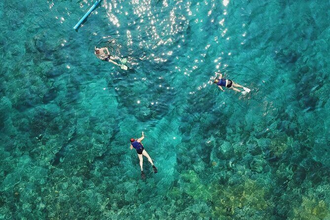 Cozumel El Cielo All Inclusive Tour from Cancun - Palancar Reef: the famous stop where you look for more variety