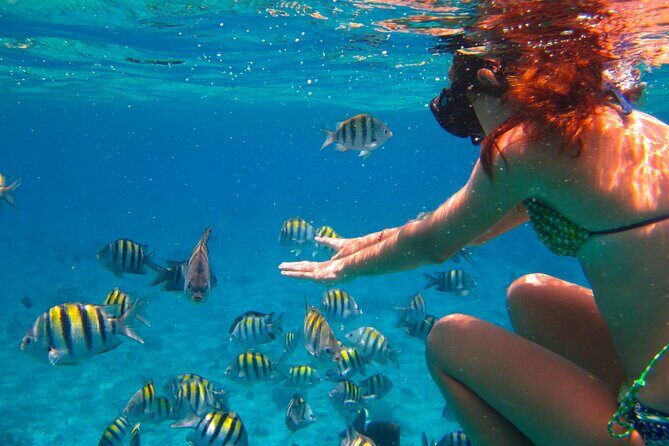 Cozumel El Cielo All Inclusive Tour from Cancun - Food and drinks: what’s included, what’s not, and how the day usually eats