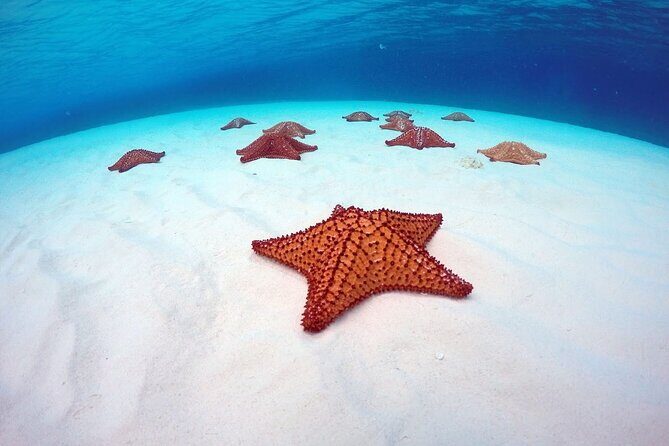 Cozumel El Cielo All Inclusive Tour from Cancun - Price value: is $175 worth it for snorkeling and admissions?