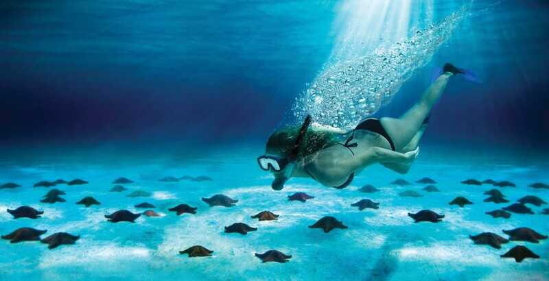 Cozumel: El Cielo & Palancar Snorkel with Open Bar & Ceviche - In-Water Rules and Little Things That Make the Day Go Smooth