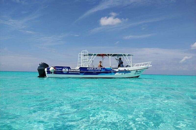 Cozumel El Cielo Sandbar and Reef Snorkeling Tour - The private-group setup that keeps snorkeling friendly