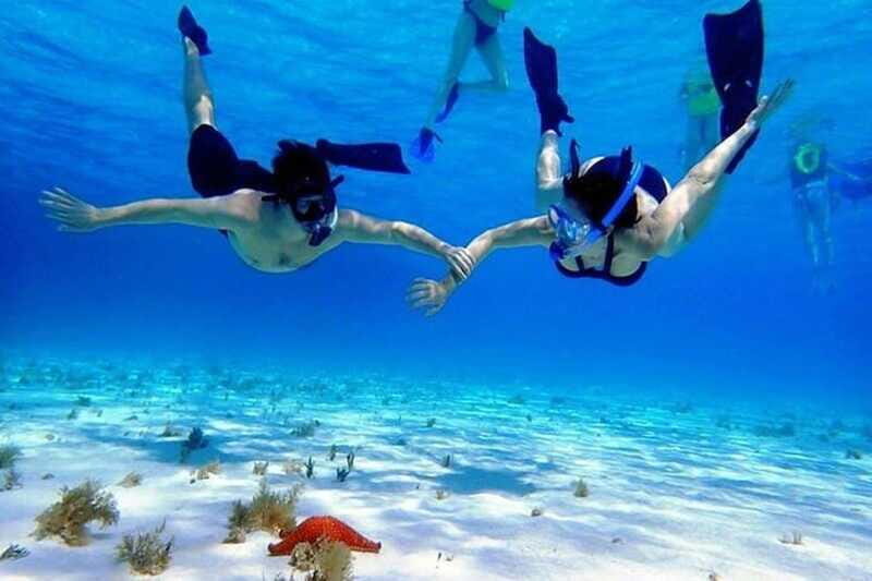 Cozumel El Cielo Sandbar and Reef Snorkeling Tour - What happens during the 5 hours (and why the order works)