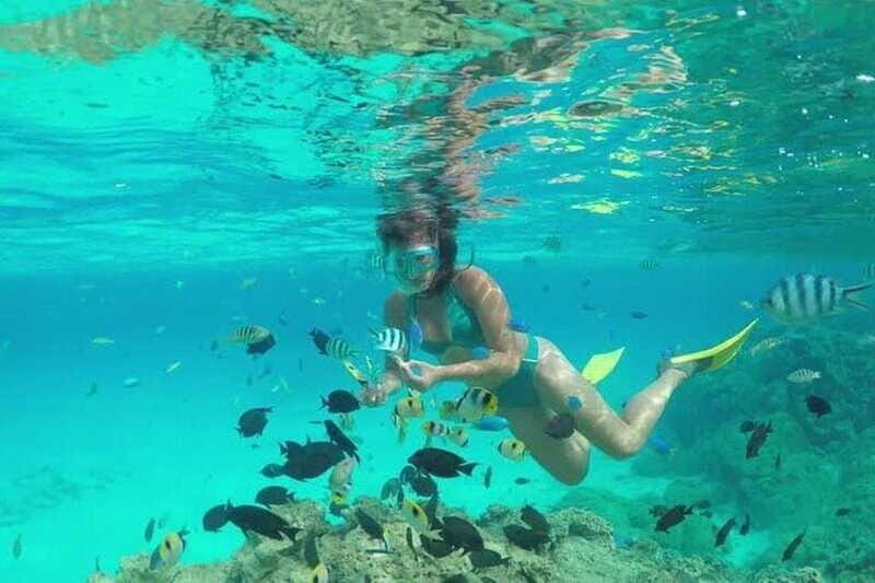 Cozumel El Cielo Sandbar and Reef Snorkeling Tour - The beach picnic and drinks: a real payoff