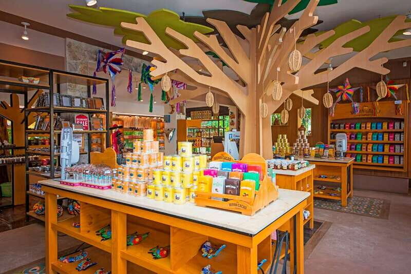 Cozumel: General Admission to the Mayan Cacao Experience - Guides in English or Spanish: what you should expect from the narration