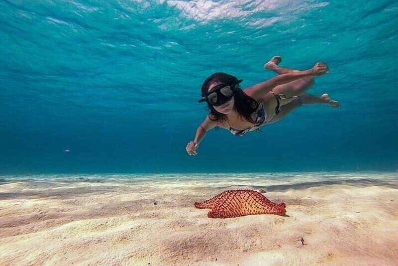 Cozumel: Glass-bottom Boat Snorkeling Adventure - Colombia Reef: your first snorkeling scene