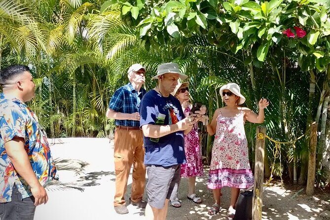 Cozumel: Hands-On Chocolate, Tortilla, Salsa & Honey Experience - Sacred bees and honey tasting with Melipona bee honey