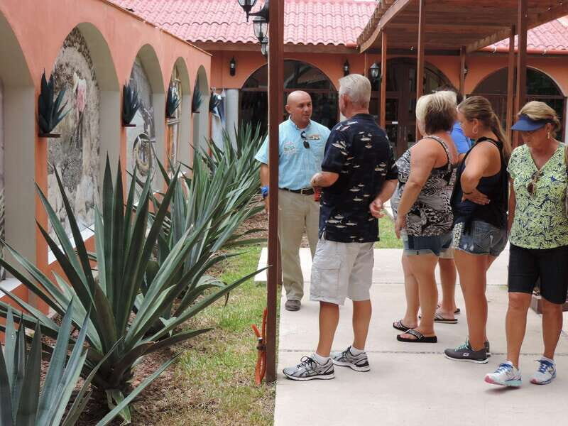 Cozumel: Historical Driving Tour by VW Buggy with Snorkeling - Eastern coastline cruising and the Punta Morena beach reset