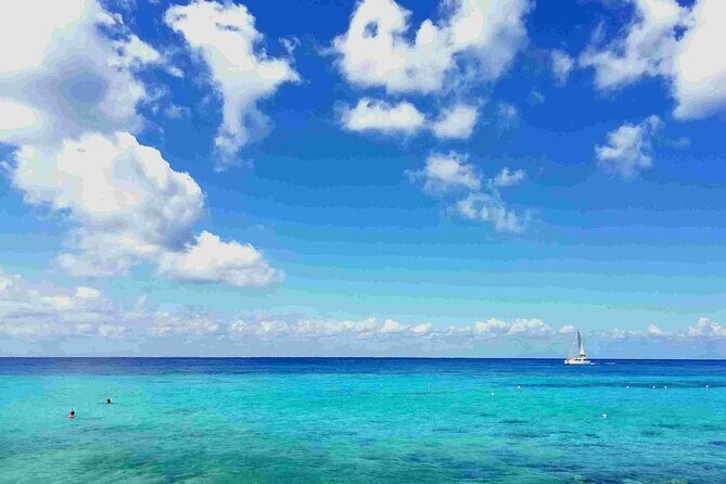 Cozumel Island Tour: Mayan Ruins, Reefs, and Beach Escape - Key highlights worth showing up for