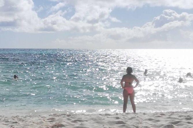 Cozumel Island Tours - Pickup From Cruise Port or Hotel: How to Avoid the Most Common Headaches
