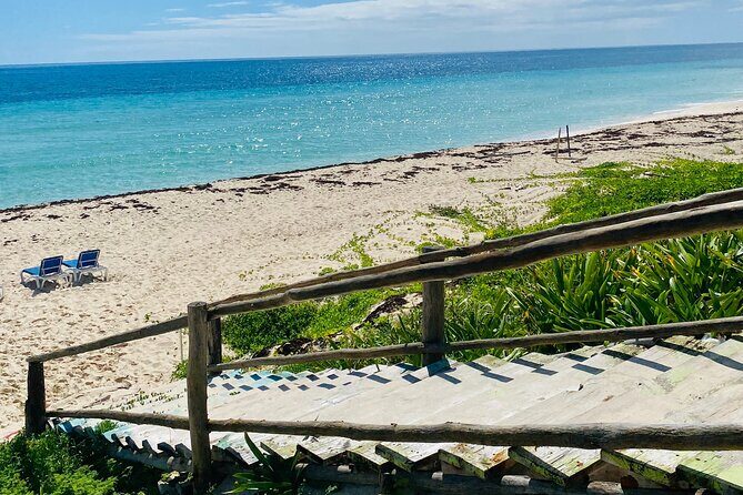 Cozumel Jeep Adventure Natural Cenote & Mayan Experience OTOCH - Who this tour suits best (and who might skip it)