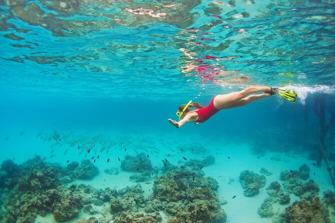 Cozumel Luxury Sailing & Snorkeling Cruise Experience - What you get included: gear, paddleboards, lunch, and the open-bar value check