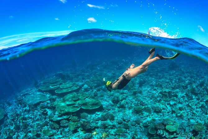 Cozumel Luxury Sailing & Snorkeling Cruise Experience - Crew and onboard vibe: safety first, with names you might hear