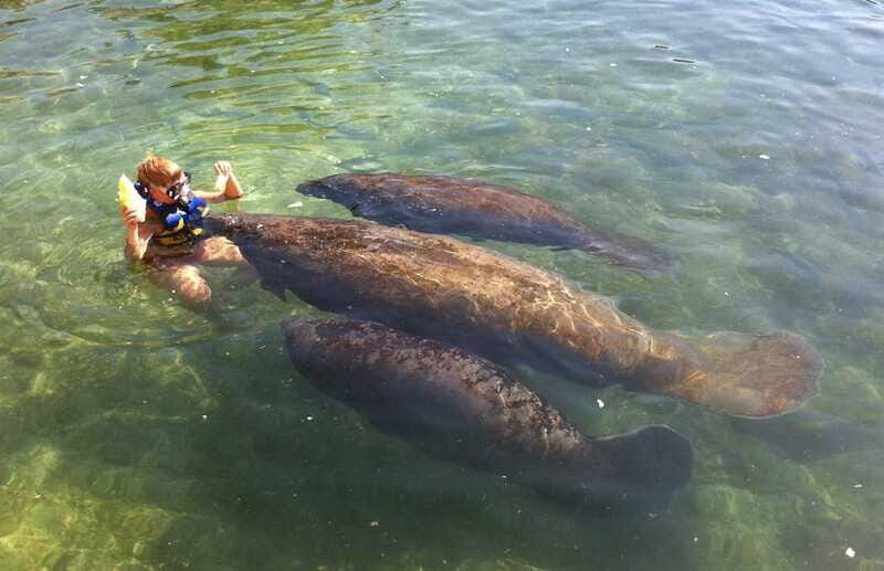 Cozumel: Manatee Encounter, Chankanaab Admission and Buffet - Buffet lunch and drinks: do you actually get fed?