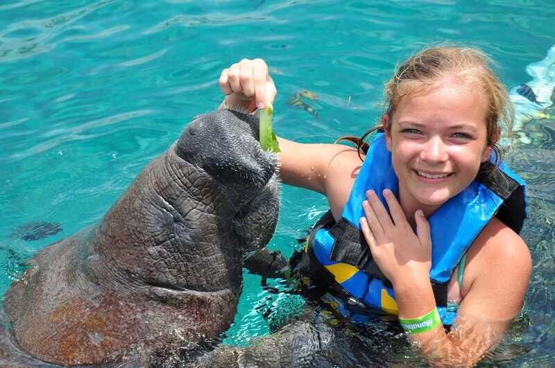 Cozumel: Manatee Encounter, Chankanaab Admission and Buffet - Rules that shape your experience: cameras, sunscreen, and what’s not allowed