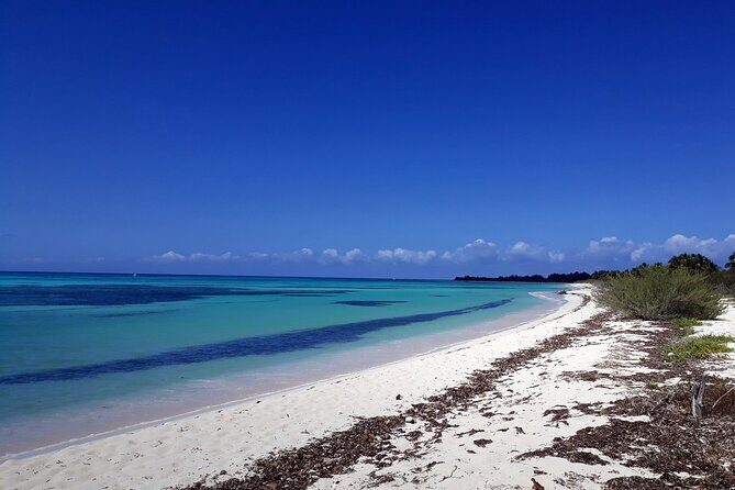 Cozumel National Park and Beach Break: Private Tour - Driving the island: ocean roads and viewpoint stops