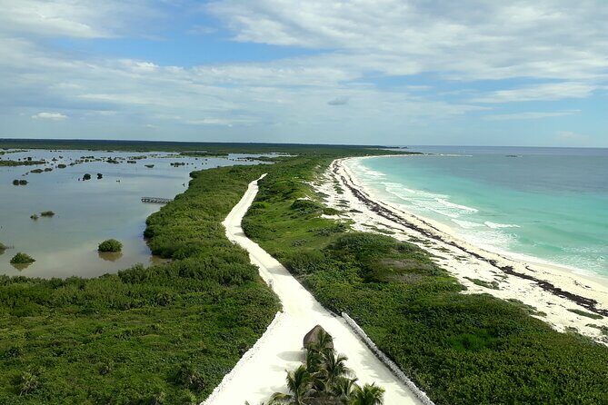 Cozumel National Park and Beach Break: Private Tour - Getting the day started: cruise pier meeting points that make sense