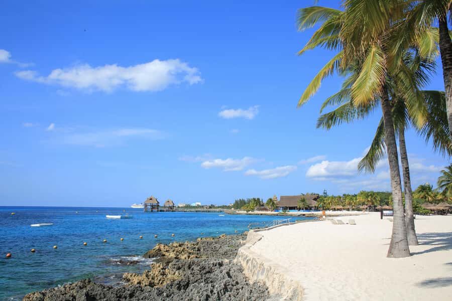 Cozumel: Official Chankanaab Park and Snorkeling with Lunch - Beach Time That Actually Includes Comfort: Loungers, Showers, Hammocks