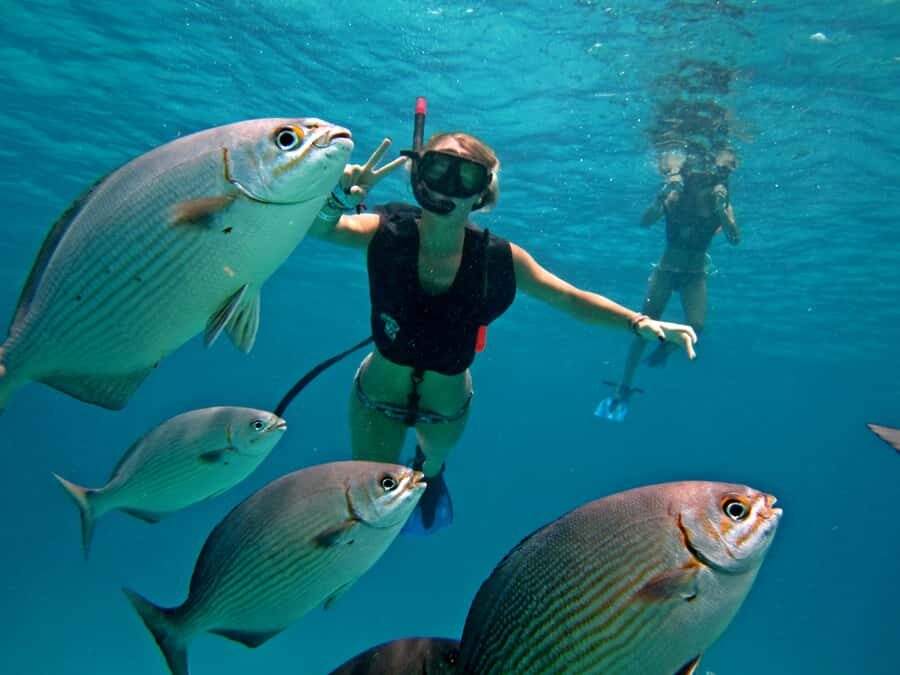 Cozumel: Official Chankanaab Park and Snorkeling with Lunch - Sea Lion Shows: A Scheduled Break That Keeps the Day Moving