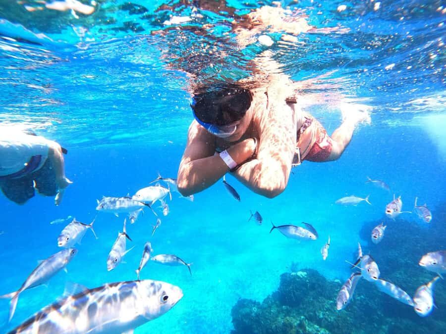 Cozumel: Palancar, Columbia and Cielo Reefs Snorkeling Tour - Should you book this Cozumel reef and Cielo snorkeling tour?