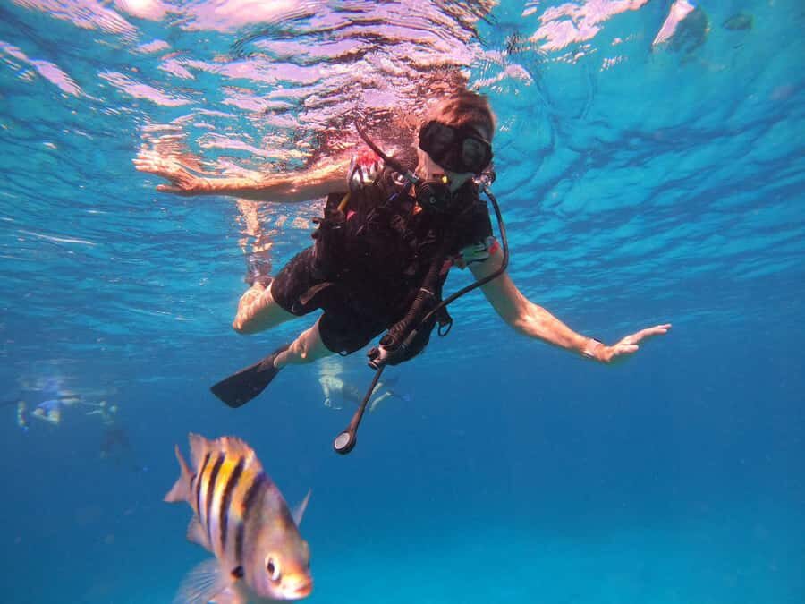 Cozumel: Palancar, Columbia and Cielo Reefs Snorkeling Tour - Reef snorkeling stops: what Palancar and Columbia-style areas mean for you