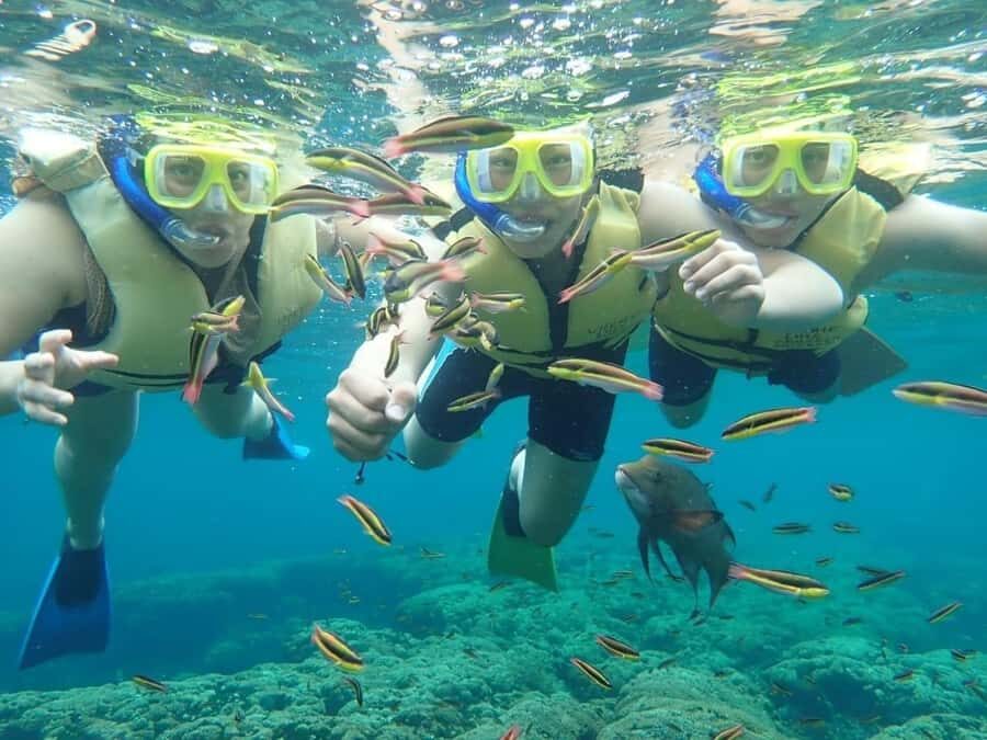 Cozumel: Palancar, Columbia and Cielo Reefs Snorkeling Tour - Food and drinks after snorkeling: ceviche, beer, and a real reset