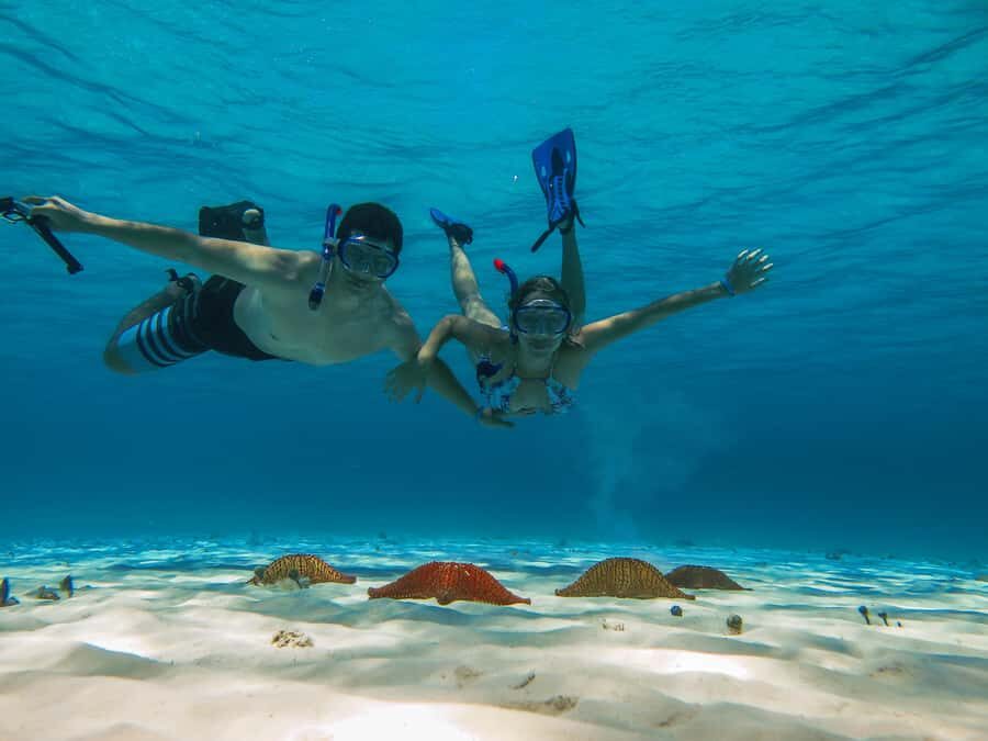 Cozumel: Palancar, Columbia and Cielo Reefs Snorkeling Tour - Marina Cozumel ASIPONA logistics and the 4-hour rhythm