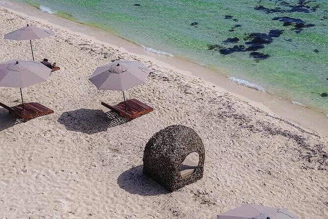 Cozumel Playa Palancar VIP All Inclusive Day Pass - Snorkeling and kayaking with included equipment: the best way to spend Cozumel water time
