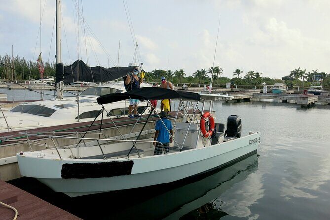 Cozumel Private 4-Hour Boat Tour to Passion Island - Price and value for a group up to 8