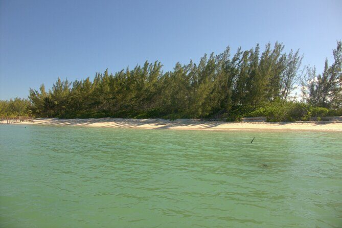 Cozumel Private 4-Hour Boat Tour to Passion Island - Reef and shipwreck snorkeling with strong visibility potential