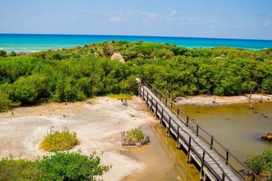 Cozumel: Private Buggy Tour to Punta Sur Park All Inclusive - Key highlights at a glance