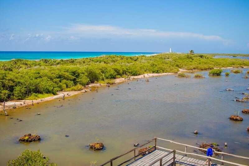 Cozumel: Private Buggy Tour to Punta Sur Park All Inclusive - Sabores de Cozumel Park and Flavors of Cozumel: Tequila and Chocolate Time