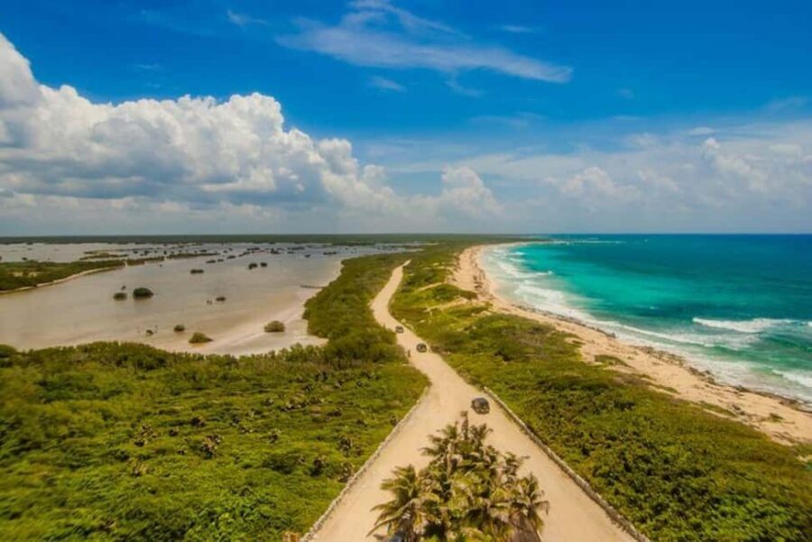 Cozumel: Private Buggy Tour to Punta Sur Park All Inclusive - 4.5 Hours, Not a Full Day: Timing That Can Make or Break It
