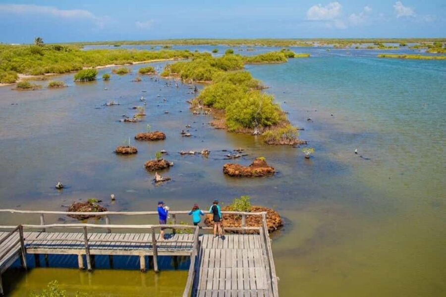 Cozumel: Private Buggy Tour to Punta Sur Park All Inclusive - Getting to Punta Sur: Pickup and Meeting Up Cleanly