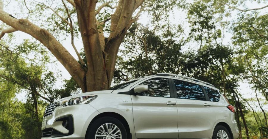 Cozumel: Private Car, Driver & Certified Tour Guide - Where you meet in Cozumel ports (and how not to miss your guide)